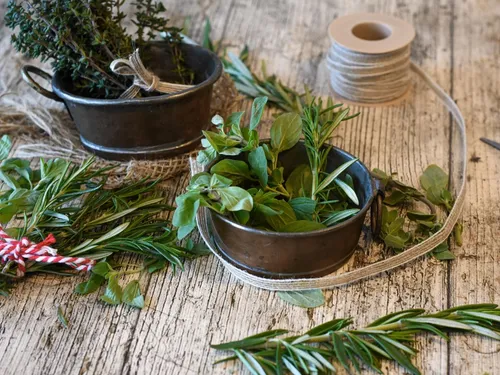 Une conférence dédiée aux vertus des plantes de nos jardins