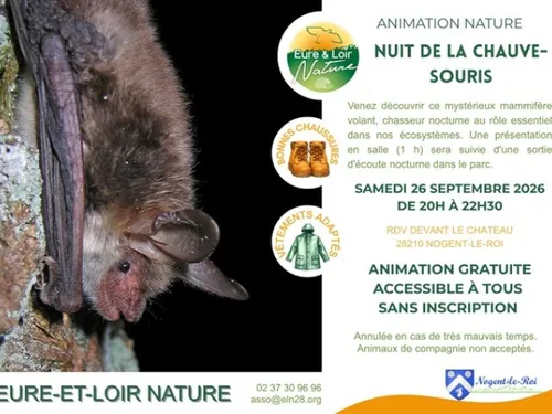 NOGENT-LE-ROI - Nuit de la chauve-souris