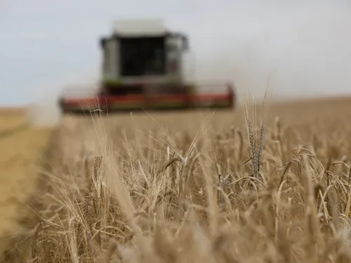 Embarquez dans une moissonneuse batteuse !