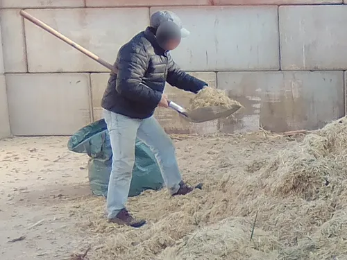 Du broyat de platane pour les habitants à la déchèterie de...