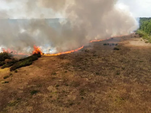 Cent pompiers déployés face aux flammes