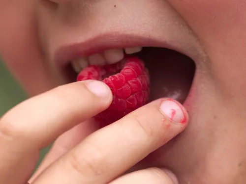 Des fruits distribués à la récrée dans quatre collèges
