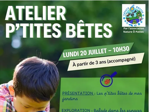 FRAZÉ - Atelier P'tites bêtes