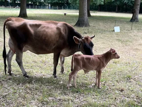 Archy, ce nouvel arrivant singulier à Champhol