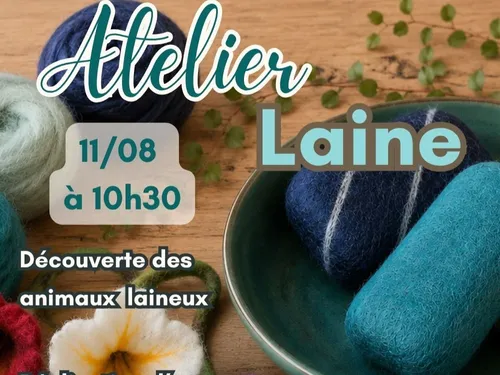 FRAZÉ - Atelier laine