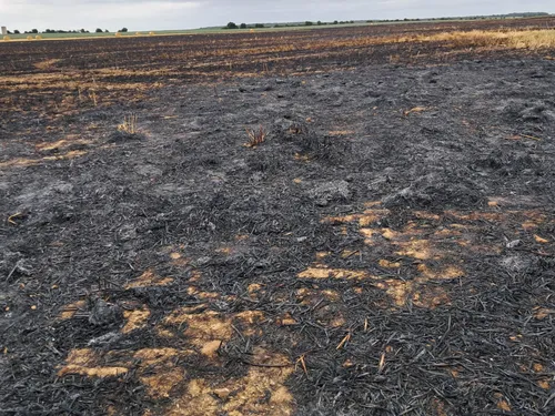Près d'une vingtaine de pompiers mobilisés pour un feu de champs à...