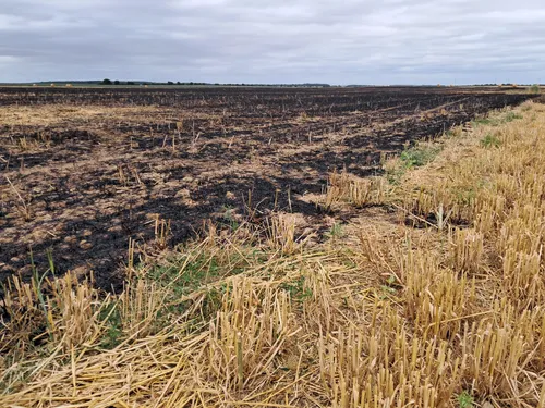 Près de 10 hectares de cultures partent en fumée
