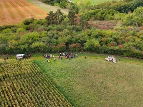 PRASVILLE - 10 ans de pâturage, ça se fête ! Transhumance des moutons