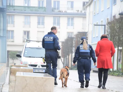 Aucun cambriolage pour les foyers enregistrés