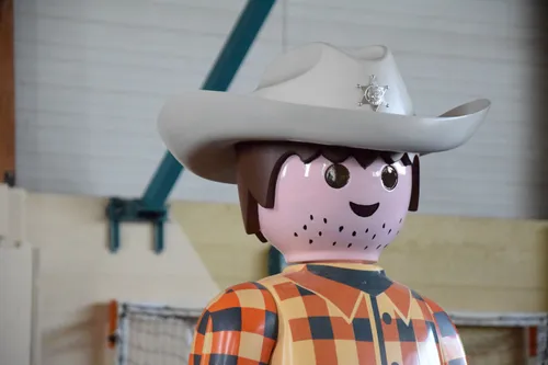 🔊 Des Playmobil® par centaines à Cloyes