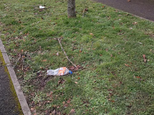 Des dizaines de sacs remplis de déchets, ramassés dans la nature