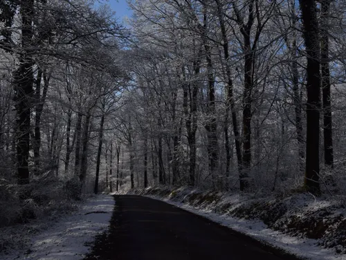 De la neige pour Noël ?