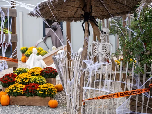 La Tanière fête Halloween : animations et bon plan pour la Toussaint