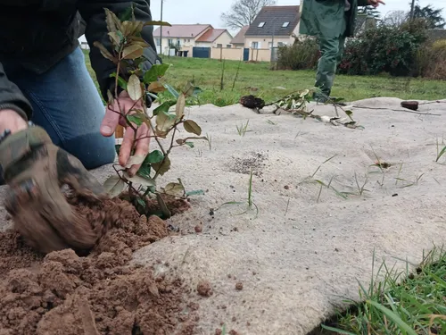 Boncourt : un chantier nature participatif ce samedi à la Réserve