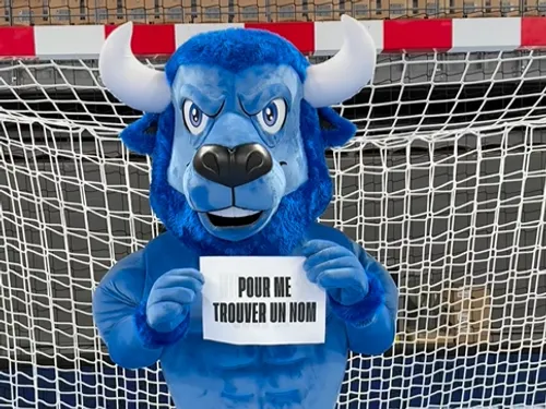 Quel nom pour le Minotaure chartrain ?