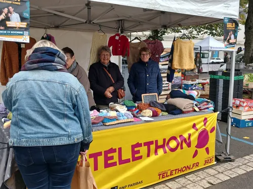 Le retour des Mamies Tricoteuses pour le Téléthon