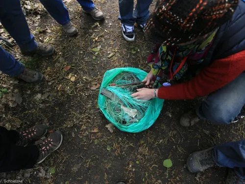 Une centaine de personnes contre la bâche en forêt de Dreux