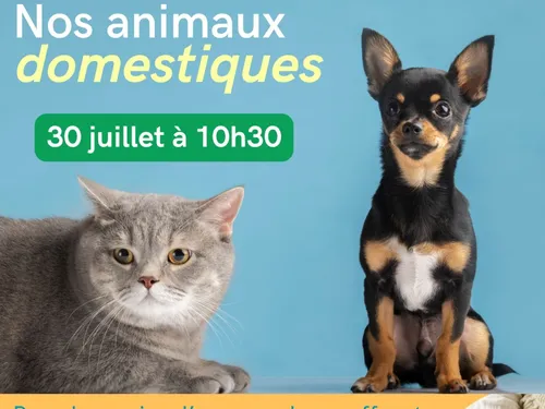 FRAZÉ - Atelier : Nos animaux domestiques