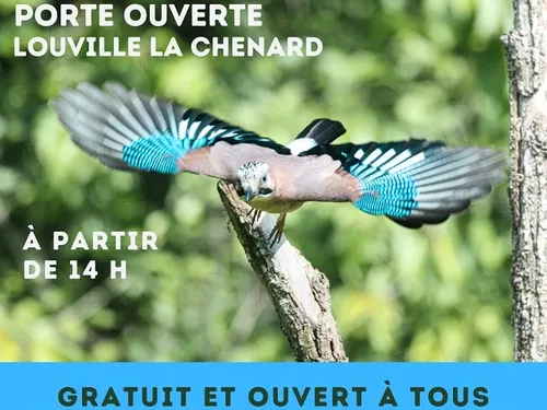 LOUVILLE-LA-CHENARD - Portes ouvertes de l'observatoire des oiseaux