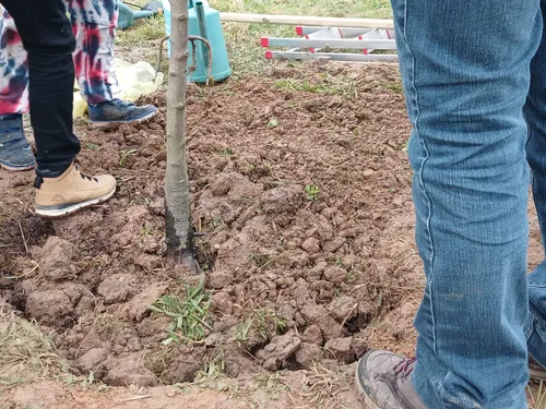 Une journée pour planter des arbres à Chartres