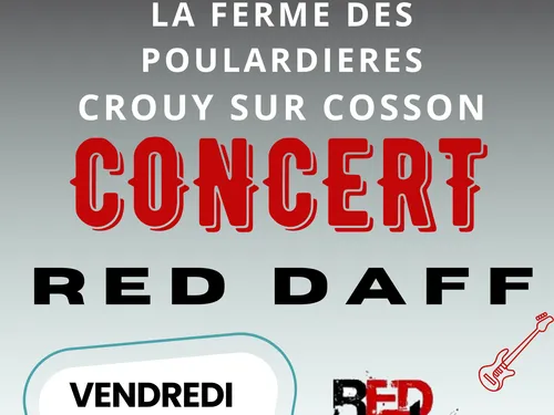 CROUY-SUR-COSSON (41) - Repas concert : Red Daff