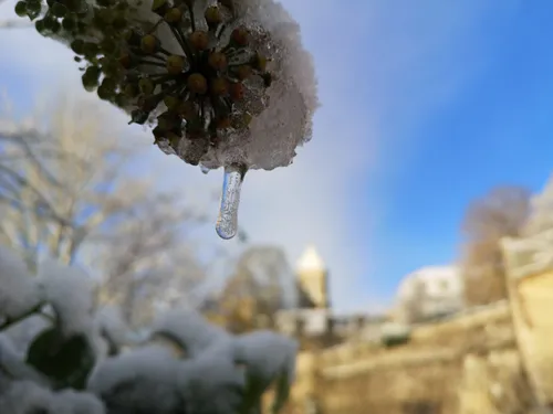 🔊Après la douceur début novembre, la fraîcheur et peut-être...