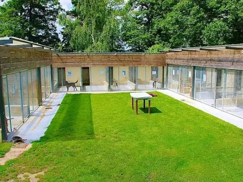 🔊 La situation financière du refuge animalier de Serazereux « de...