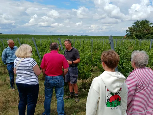 🔊 Le vin de Beauce poursuit son développement à Mérouville