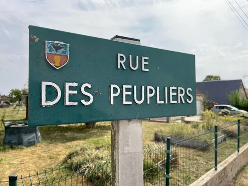 🔊 Le hameau où les rues prennent racine