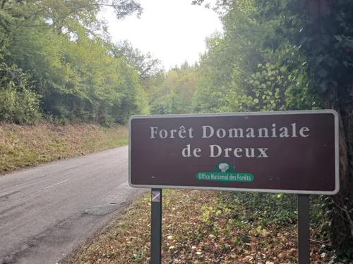 🔊 Quelle stratégie pour la lutte contre les feux de forêt en...