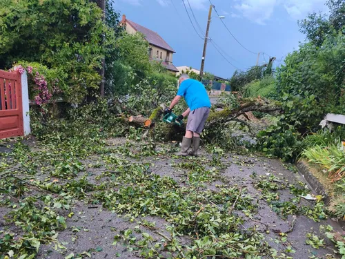 Quelques branches et arbres sur les chaussées