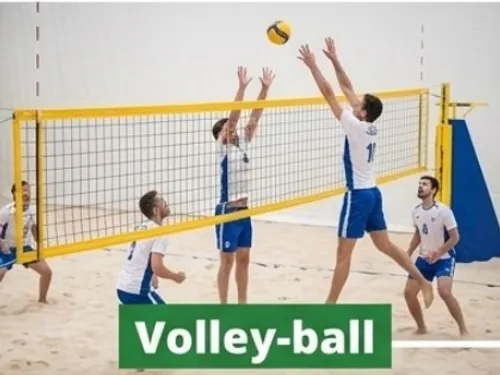 ORLÉANS (45) - Volley-ball : France - Serbie