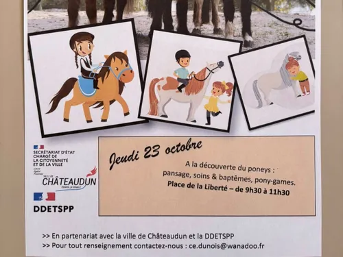 Des chevaux sur la place de la Liberté à Châteaudun