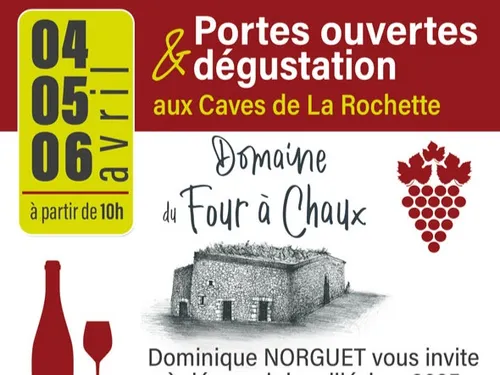 THORÉ-LA-ROCHETTE (41) - Portes ouvertes et dégustation aux Caves...