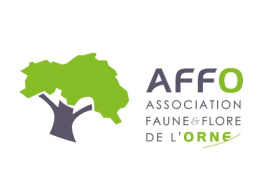 PERVENCHÈRES (61) - Mini chantier à la Lambonnière