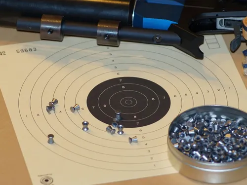 Un coach du Tir Dunois qualifié pour le Championnat de France