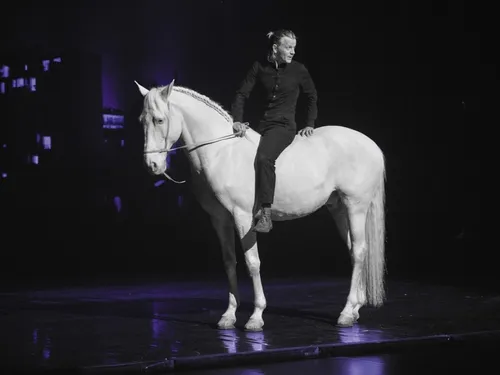 « Sexe, grog et rocking-chair » avec Alex Lutz