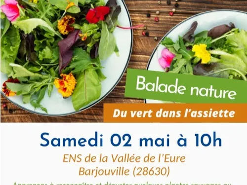 BARJOUVILLE - Nature : Du vert dans l’assiette