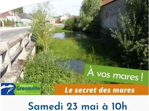 BEAUVILLIERS - Nature : Le secret des mares