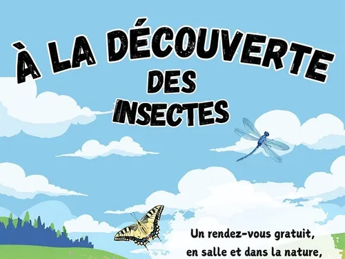BÉVILLE-LE-COMTE - Balade à la découverte des insectes