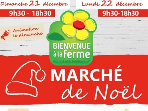 BLOIS (41) - Marché de Noël des producteurs