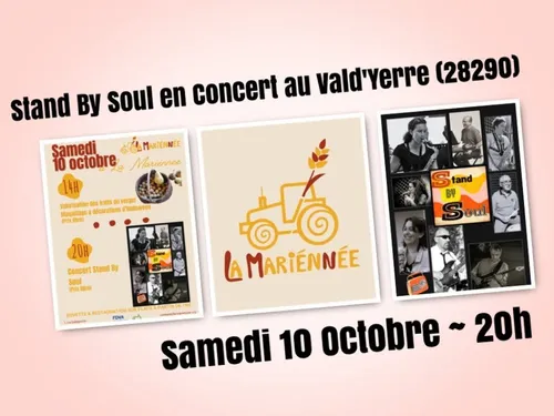 BOISGASSON - Concert : Stand By Soul
