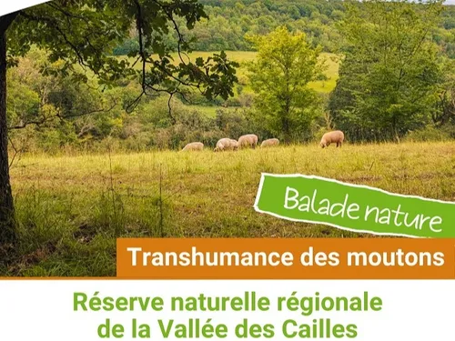 BONCOURT - Nature : Transhumance boncourtoise