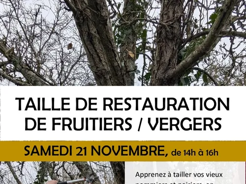 BOURSAY (41) - Taille de restauration des fruitiers