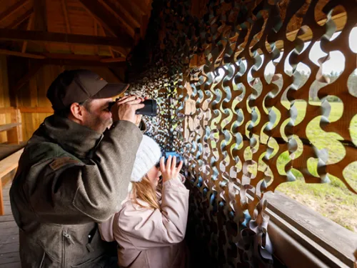 Chambord au crépuscule, pour découvrir la faune sauvage