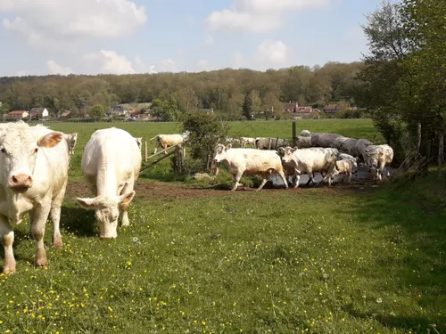 La ferme Blanchet ouvre ses portes à Coltainville