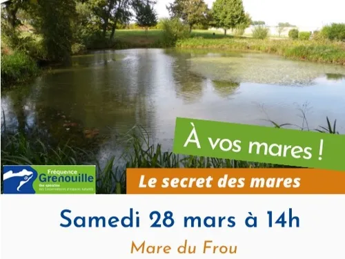 CHARTAINVILLIERS - Nature : Le secret des mares