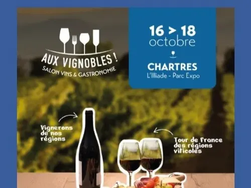 CHARTRES - Salon Aux Vignobles