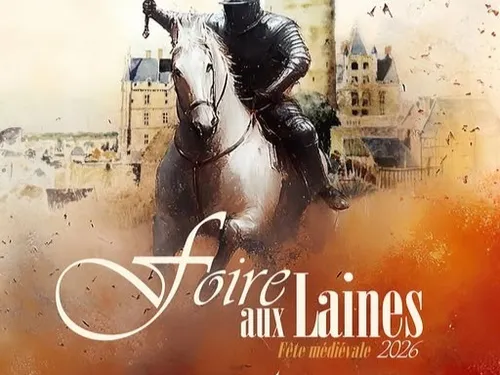 CHÂTEAUDUN - Foire aux laines