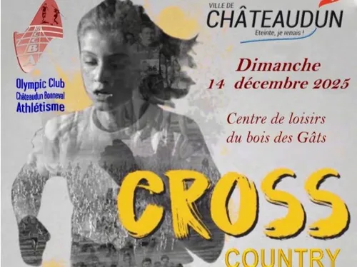 CHÂTEAUDUN - Cross de Châteaudun